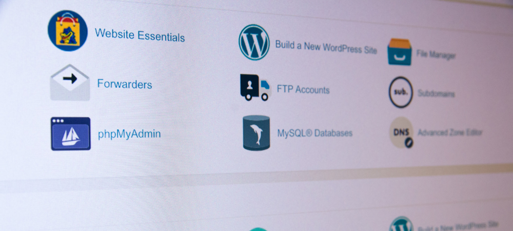 WordPress hosting vs web hosting